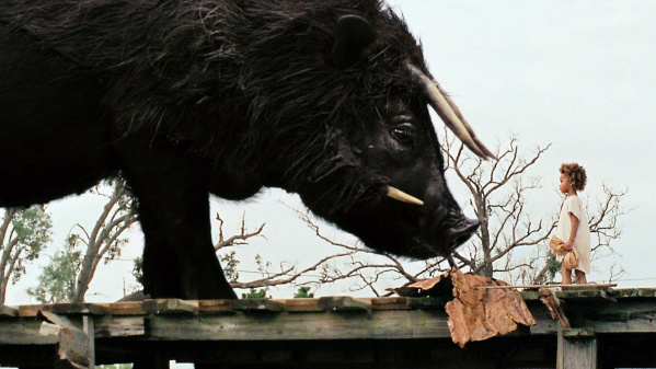 Beasts of the Southern Wild - 6