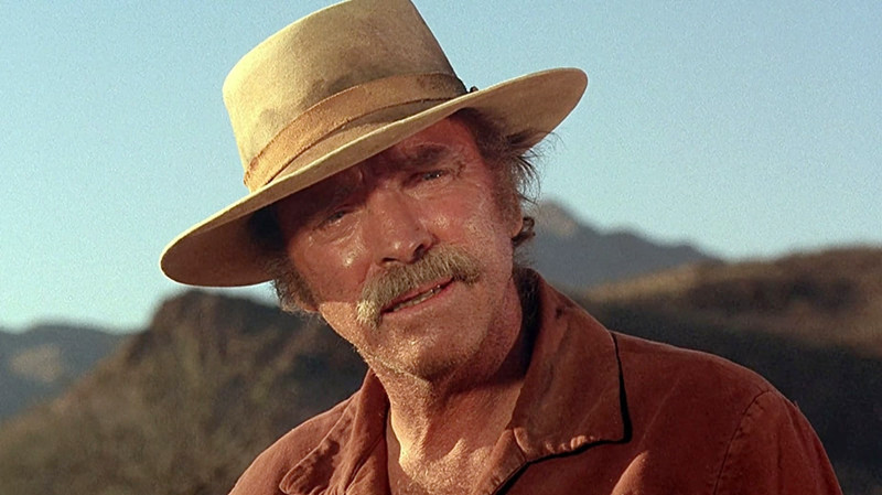10 Great 1970s Western Movie Classics You Probably Haven t