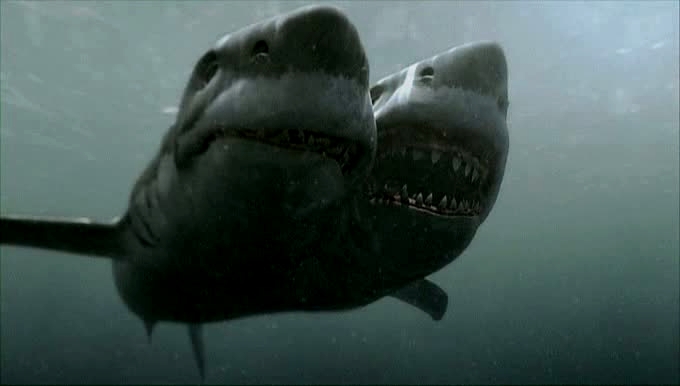 2-headed-shark-attack