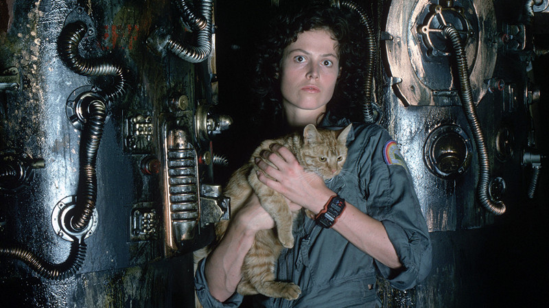 Is the original Ridley Scott-directed science-fiction horror film 'Alien'  (1979) still worth watching if you didn't enjoy your recent viewing of  'AVP: Alien vs. Predator' (2004) and regard it as an entirely