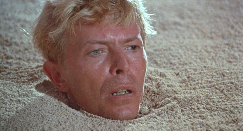 Merry Christmas Mr. Lawrence (1983)