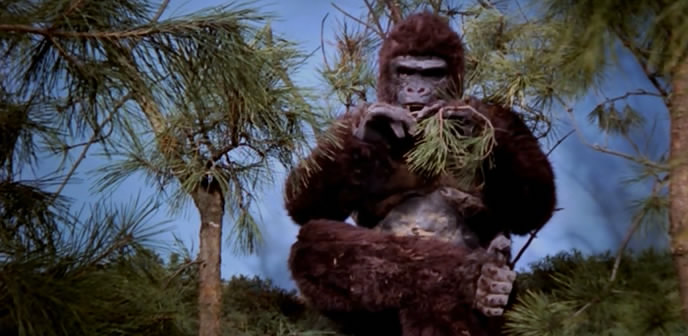 Ape (1976)