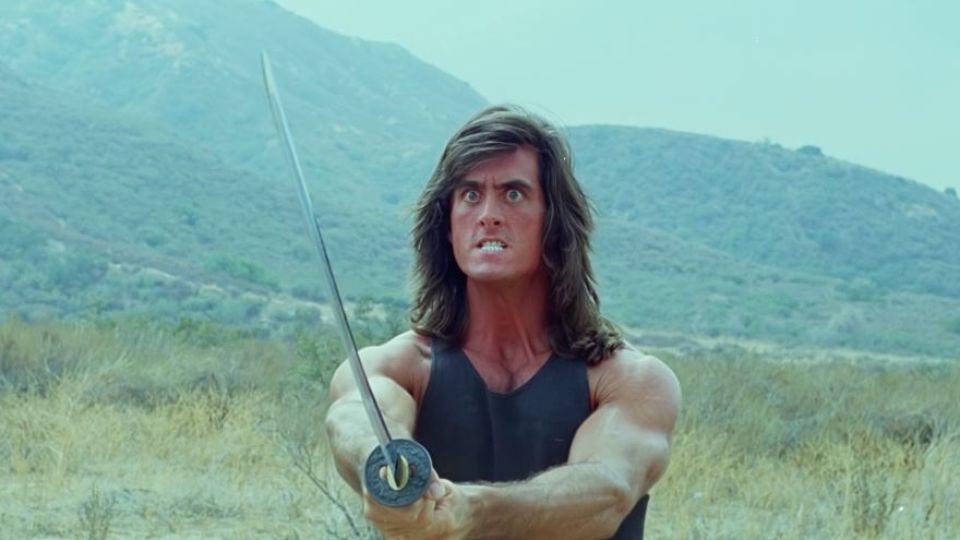 Samurai Cop