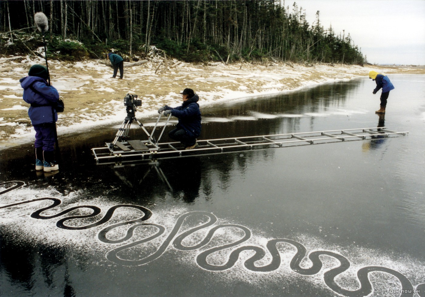 Rivers and Tides Andy Goldsworthy Working with Time (2001)