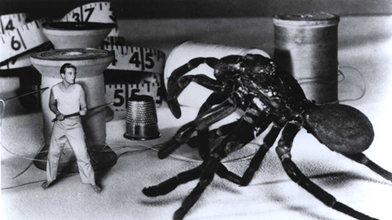 The Incredible Shrinking Man (1957)_